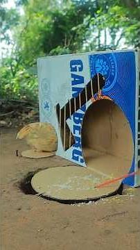Really Clever DIY Quail Trap Idea Using Cardboard Box #Outdoors #survival #skills #camping