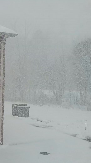 Northern Indiana this morning......getting to be time to head back to Florida. The beautiful autumn leaves gone | Daniel W Baldwin