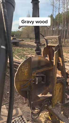 Riverland Logging with Tigercat 234B in Hilliard, Florida