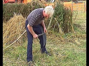An Irish Harvest Day