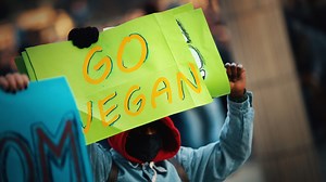 36 reactions · 15 comments | Sky News host Chris Kenny says a demonstration from vegan activists protesting outside of Fyre restaurant in Perth is “commercial terrorism”. Watch the full episode at www.skynews.com.au/flash | Sky News Australia | Facebook