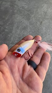 761 reactions · 11 shares | The “Mad Max” Popper from MONSTERBASS‼️ Described as one of the best smaller profile poppers on the market! You’re gonna love this one!  . . #Monsterbass #fishbetter #thebetterbox #bassfishing #largemouth #smallmouth #fishing #fishinggear #fishinglures #kayakfishing #angler #bassboat #lakes #pondfishing #catchandrelease #fishingislife #outdoors #fishingtackle #largemouthbass #smallmouthbass #spottedbass #bankfishing | MONSTERBASS | Facebook