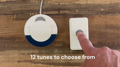 Dakota Alert Wireless Driveway Alarm System DCPA-4000 One Mile Wireless Range, DCR-4000 Receiver & DCPT-4000 Vehicle Detecting Probe Transmitter with Direct Burial Cable | Outdoor Vehicle Sensor Alarm