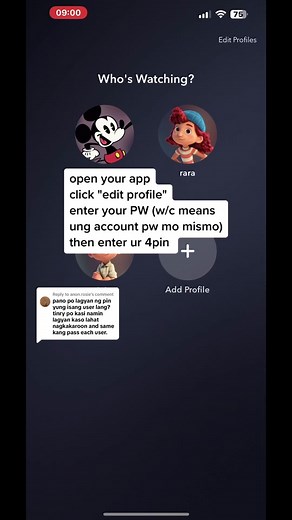 How to Set Up PIN Password in Disney Account