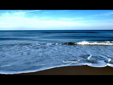 Drift to Sleep by the Ocean (Soft Spoken + Gentle Humming) | ASMR 15 Minutes