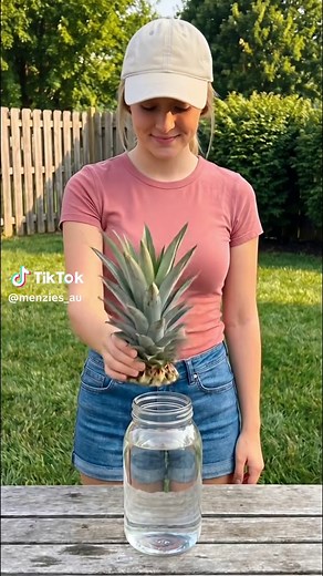 Grow Pineapples at Home: Easy DIY Garden Trick 🍍🌿