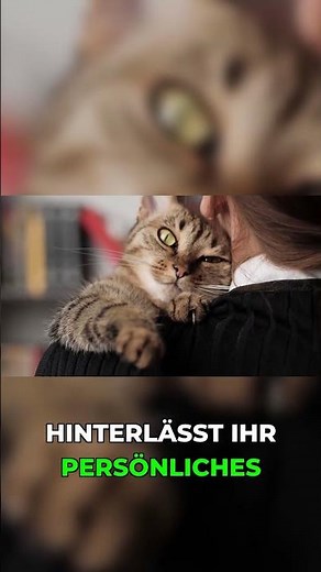 Why your cat is headbutting you #cats #catlife #behavior