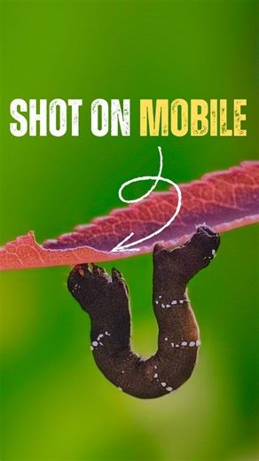 👤 on Instagram: "🎥 Androidのプロモードで写真の力を解放しよう！ スマホだけで一眼レフのような写真を撮りたい？📱 この動画では、プロモードを使って“プロ級の一枚”を撮る方法を紹介します。 ✨ この動画で学べること： ISOとシャッタースピードの正しい設定 ピントを手動で合わせてディテールをくっきり 露出とホワイトバランスのバランス調整 スマホで一眼ライクな写真を撮るコツ 📌 Captured on mobile | Pro Mode Tutorial Follow for more mobile photography tricks #AndroidPhotography #ProModeSecrets #MobilePhotographyTips #DSLROnPhone #AndroidProMode #PhotographyReel #LearnPhotography #MobileCreatives #ShootLikeAPro #CinematographyOnPhone"