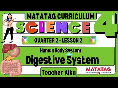 MATATAG SCIENCE 4 Grade 4 Quarter 2 Lesson 2 Human Body System: Digestive System