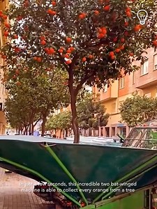 30K views · 73 reactions | This two bat winged machine can collect every orange from a tree! | Pretty Hairstyles | Facebook