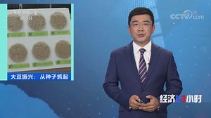 《经济半小时》 20201120 大豆振兴：从种子抓起
