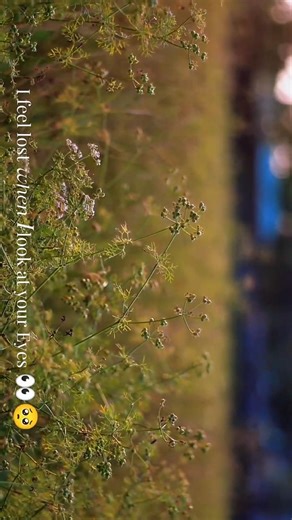 Cinematic short video.👀🥺 #ytshorts #shoorts #cinematic #tending #nature #vairal #foryou