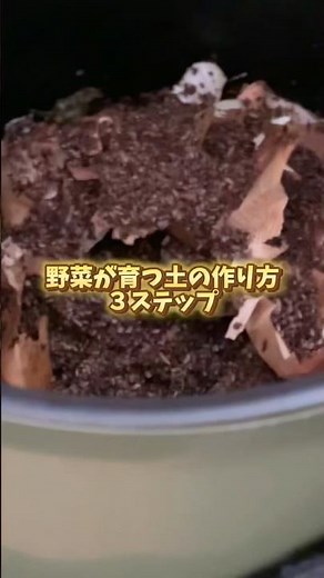 野菜が育つ土の作り方3ステップ#家庭菜園 #土作り #無農薬栽培 #野菜栽培 #コンポスト