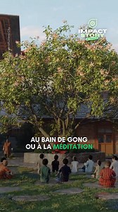 51K views · 1.4K reactions | Abonne-toi pour suivre d’autres solutions positives !  @theimpactstory Sources : National Geographic, The Bhutanese, Global Construction Review | The Impact Story | Facebook