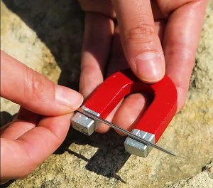 75K views · 267 reactions | The Ultimate Survival Guide! | 5-Minute Workouts | Facebook