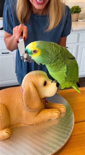 “When a Parrot Becomes the Boss of Cat & Dog 🤣 Animal Prank”
