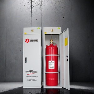 [Hot Item] OEM Cabinet Type Hfc-227ea Fire Protection System