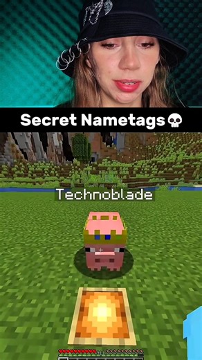 Nametags "SECRETAS" 🔐 #minecraft #minecraftmemes #react #minecraftshorts