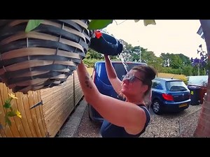 Best Fails/Wins of 2022 #37