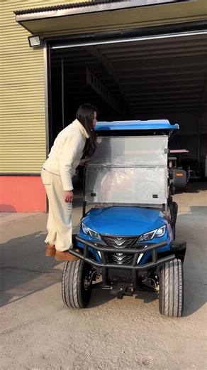 Custom Golf Carts for Every Style and Need