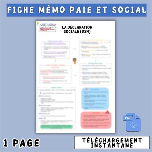 Payroll Memo Sheet – DSN Nominative Social Declaration – PDF - Etsy