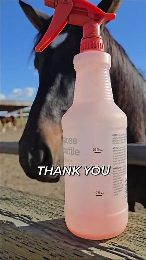 Horse Mane & Tail Care: Winter Detangler Secrets! #shorts
