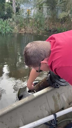 OASE MINI FOUNTAIN ⛲️ is for small shallow water bodies that has the filter attached to the bottom of the motor. It’s fast to service and clean and is well known for its durability and only requires 2’ foot of water to operate in. | Aqua Plant Control Inc