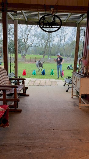 4.5K views · 64 reactions | Beginner's Luck on Reels | Facebook