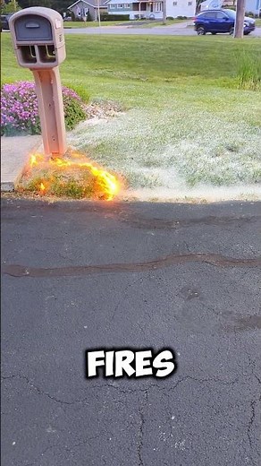 Real Engineering: The Science Behind Burning Cottonwood Fluff