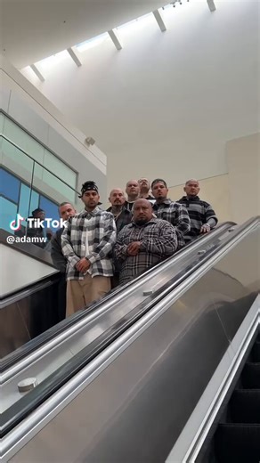 I am an enjoyer of the "contrasting escalator" video meme. I believe this meme all started in relationship to the quarterzip meme. Is this the case, or does it have earlier precedent?