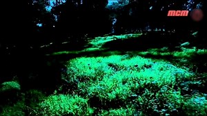 Aliens Files saison 2 episode 6