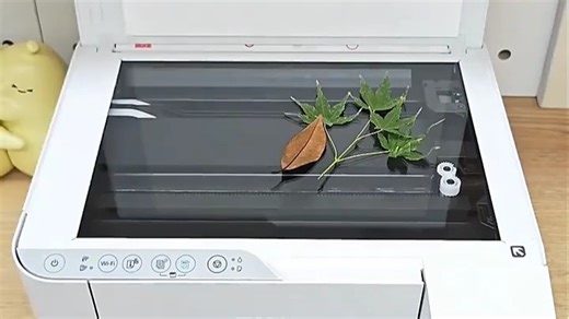 爱普生彩色打印机：操作简便，功能全面，打印清晰