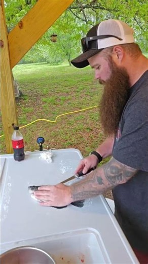 Crappie Beauty: Paul's Top Fish Cleaning Secrets Revealed! #shorts