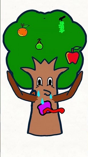 Stop Deforestation: A Short Animated Guide