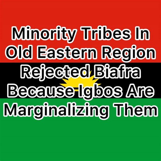 Those Who Thinks Speaking Against Ndigbo Will Make Them Go Viral Should Know We’re Here To Resist Them With The Truth And Facts,The Time For Propaganda And Lies Against The Igbos Is Over. #aniomastateisagoal #ndinaasubia #igbounificationmovement #bbcigbo #ukwuanibuanieze #igbosindiaspora #Akuruoulo #ariestv #IgboAmaka #igbanke | Deputy Jesus Perpendicular Bisector