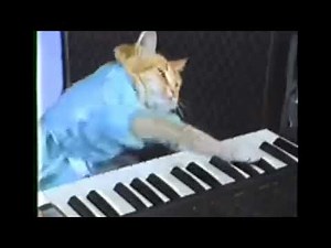 Keyboard cat | great meme reset day 3