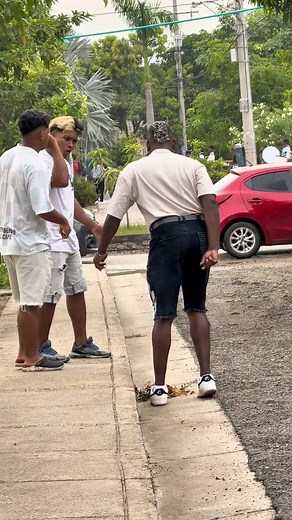 608K views · 38K reactions | Camila como h0mbre #viral | Los primos TV | Facebook