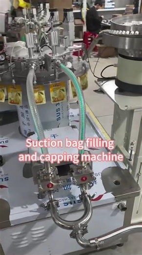 Spout Pouch Filling & Capping Machine | Automatic Spouted Pouch Packaging Solution