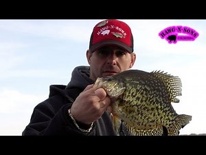 Crappie Fishing Lake Delavan Wisconsin - HawgNSonsTV!