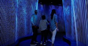 Learn about the history of the Bible through an immersive and personalized experience. Museum of the Bible exists to invite all people to engage with the Bible. | Museum of the Bible