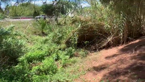 Quién es 'Dinamita Montilla', el asesino en serie malagueño acusado de seis crímenes en España | Las Provincias