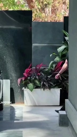 #CapCut #part3 #foryoupage #unfrezzmyaccount #GreenScreenScan #viralvideo #GreenScreenScan #❤❤❤❤🕋🕋🕋🕋🕋🕋🕋🕋🕋🕋🕋🕋🕋🕋🕋🕋🕋