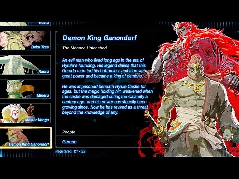 The Legend Of Zelda: Tears of the Kingdom - All Character Profiles