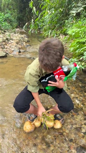 Harvesting jicama | This is why farming is fun