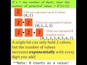 What are Bits and Bytes?