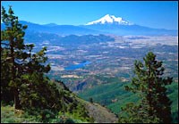 Federal agencies at odds over salvage-logging proposal in Oregon