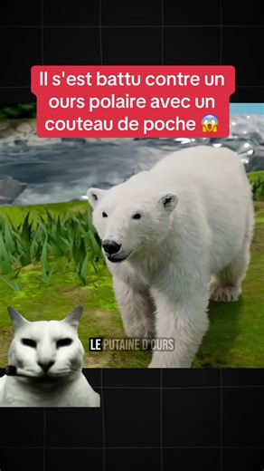 Il s'est battu contre un ours polaire avec un couteau de poche 😱 #education #explication #science #danger