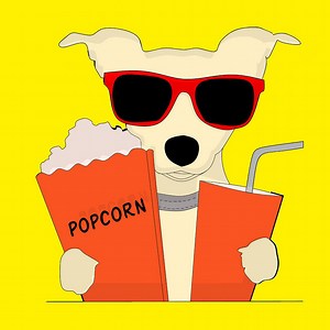 "Popcorn Festival" Concert & Tour History  | Concert Archives