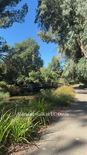 Moving my oldest to UC Davis and enjoying a morning stroll at the arboretum. 🦆 #ucdavis #momtok #california #nature #walking