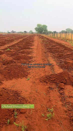 Farming in Botswana: Silent Growth to Proud Harvest